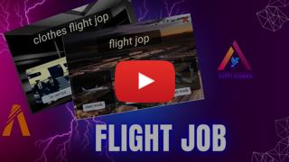 flight job