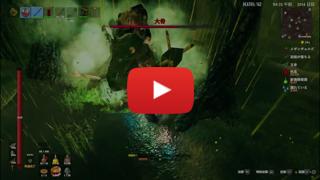 Preview Video