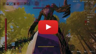 Preview Video